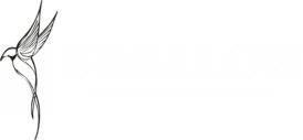 logo1
